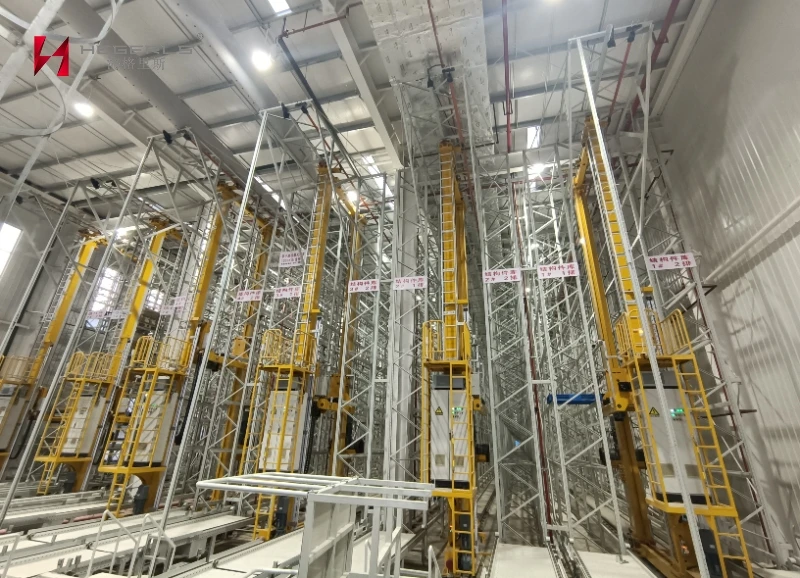 HEGERLS Rayonnages ASRS pour grandes baies